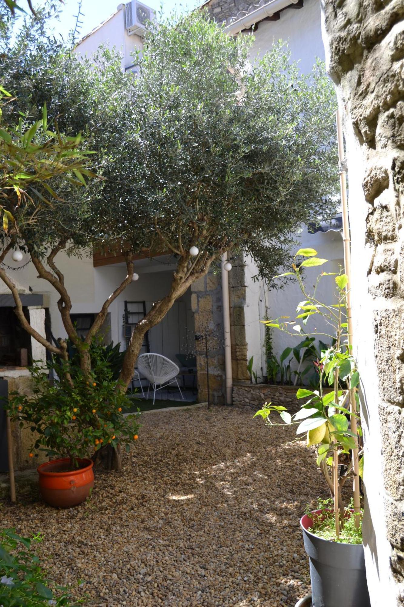 Aigues-Vives  La Cachette B&B 외부 사진